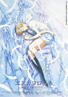 Escaflowne: A Girl in Gaea — okładka anime