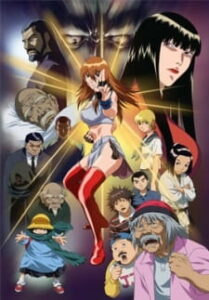 Fighting Beauty Wulong — okładka anime