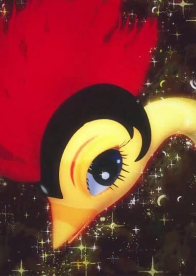 fire bird okladka