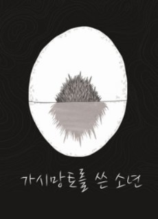 gasimangtoleul sseun sonyeon