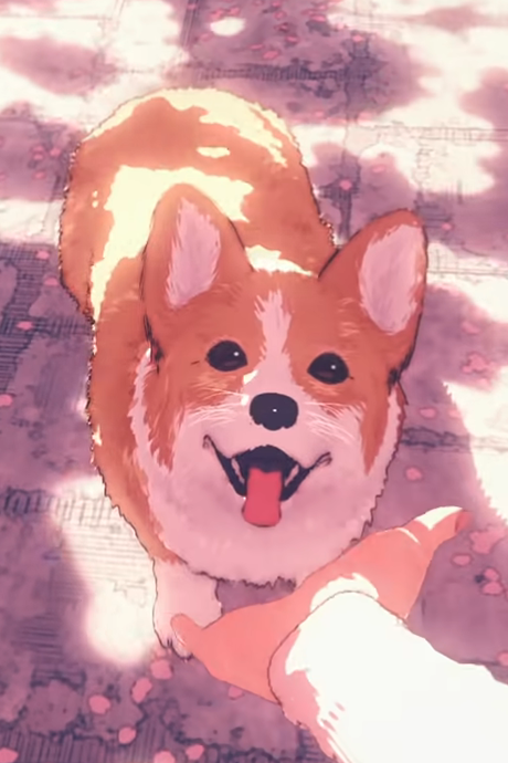 haru dorobou okladka
