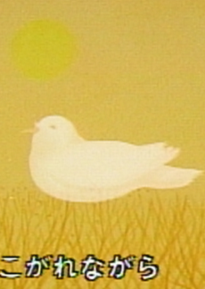 hato no uta okladka