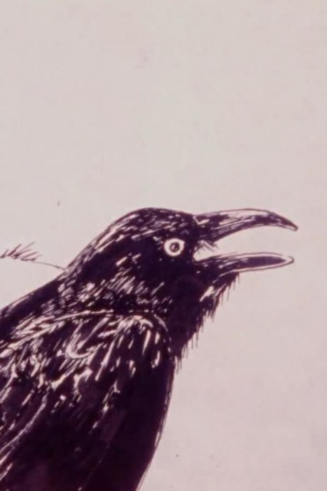 karasu