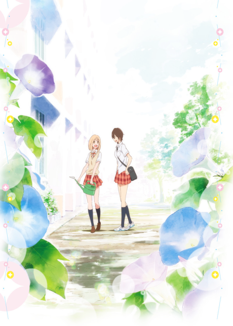kimi no hikari asagao to kase san okladka