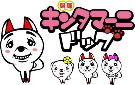 kintamani dog