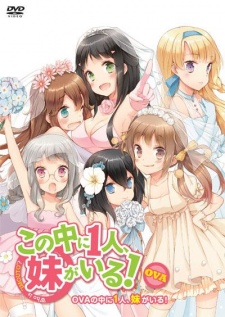 kono naka ni hitori imouto ga iru ani imouto koibito okladka
