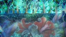 Okładka anime Lost Forest