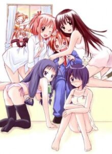 mahou sensei negima introduction film okladka