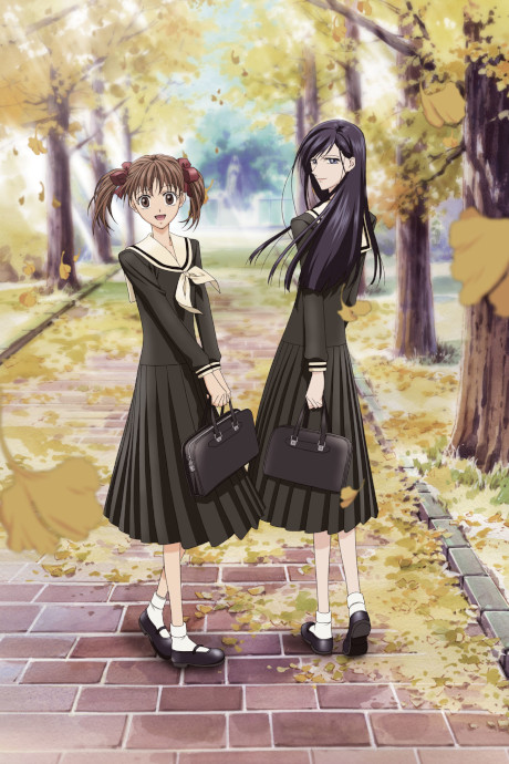 maria sama ga miteru maria sama ni wa naisho okladka