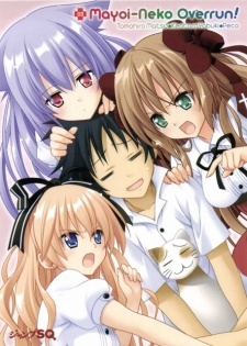 mayoi neko overrun specials okladka