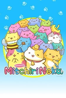 Okładka anime Mitchiri Neko