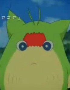 mori no kokoro koro okladka