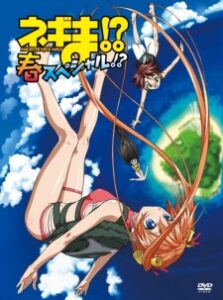 Negima!? Magister Negi Magi: Spring — okładka anime