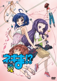 negima natsu special okladka