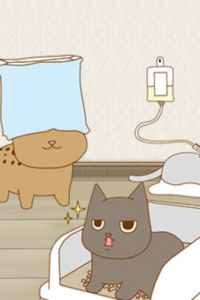 neko enikki