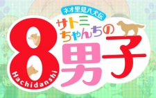 neo satomi hakkenden satomi chanchi no hachi danshi okladka