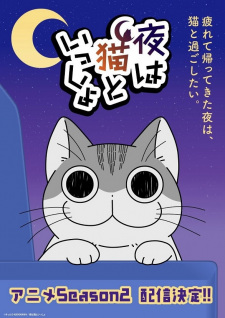 Okładka anime Nights with a Cat 2