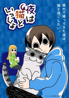 Nights with a Cat — okładka anime