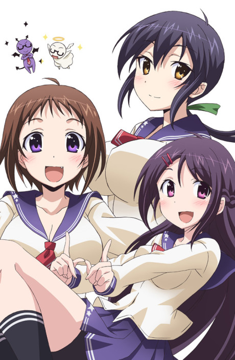 okusama ga seitokaichou okladka