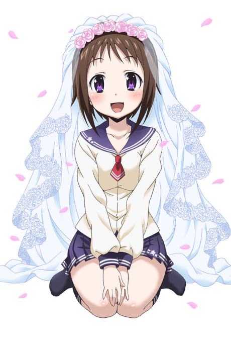 okusama ga seitokaichou okladka