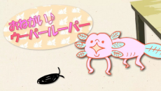 onegai wooper looper okladka