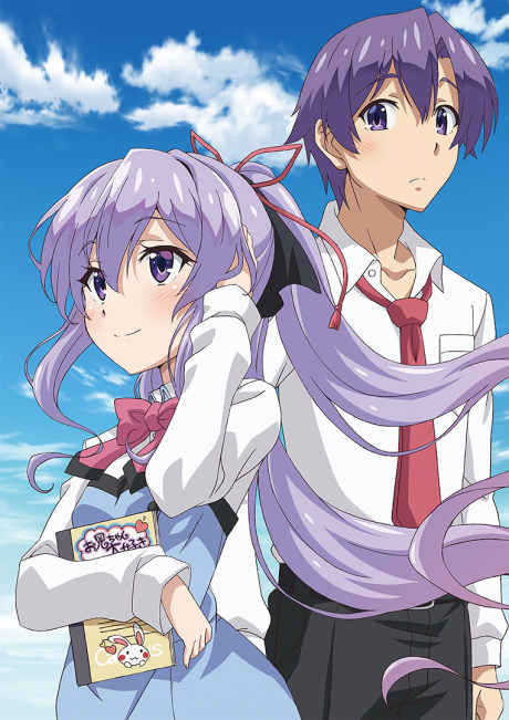 ore ga suki nano wa imouto dakedo imouto ja nai okladka