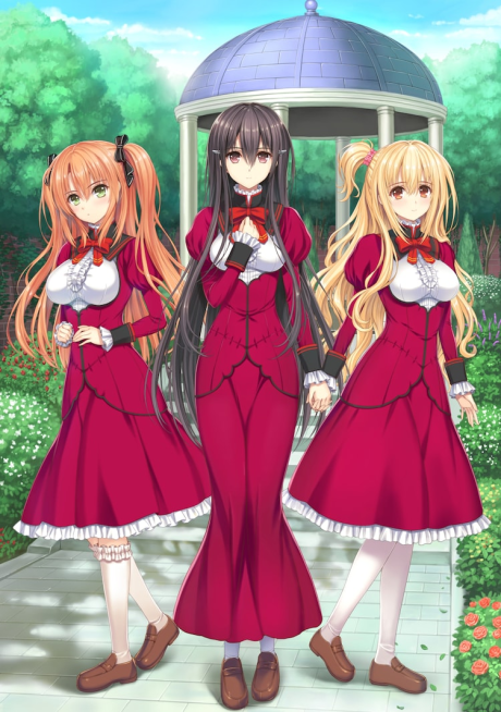 otome wa boku ni koishiteru mittsu no kiraboshi the animatio okladka