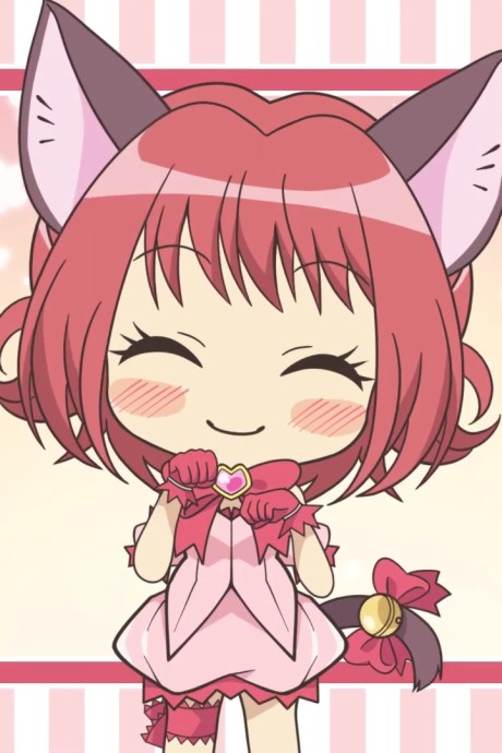 petit tokyo mew mew new