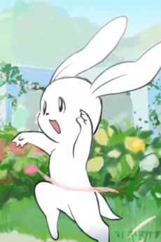 prima rabbit okladka