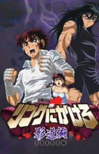 Ring ni Kakero 1: Shadow-hen — okładka anime