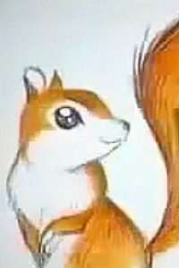 risu ni koi shita shounen okladka