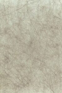 scripta volant