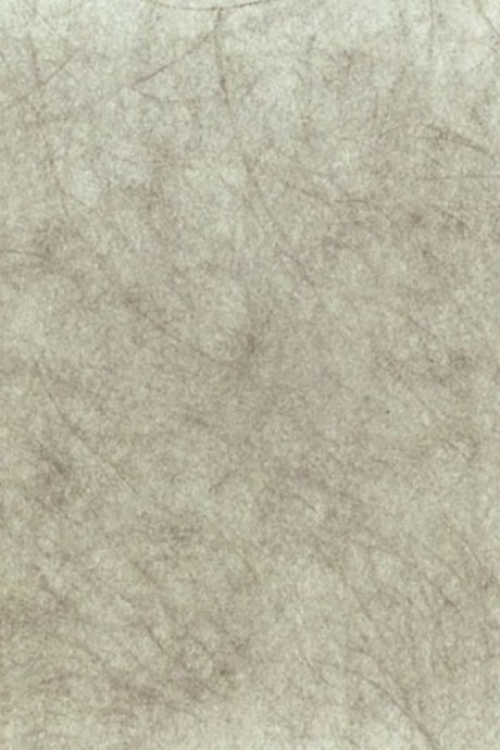 scripta volant