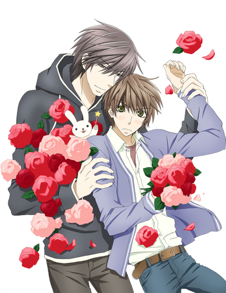 sekaiichi hatsukoi 2 okladka