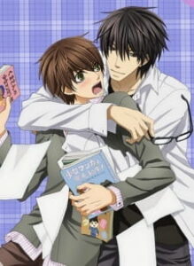Sekaiichi Hatsukoi: Valentine-hen — okładka anime