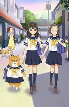 Okładka anime Shibainuko-san