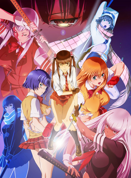 shin ikkitousen okladka