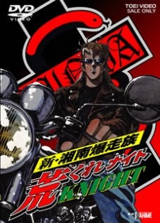 shin shounan bakusouzoku arakure knight