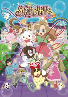 sugar bunnies chocolate okladka