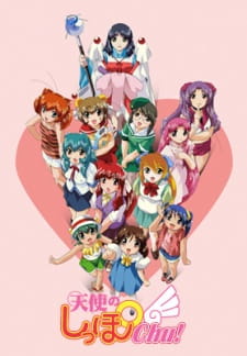 Okładka anime Tenshi no Shippo Chu!