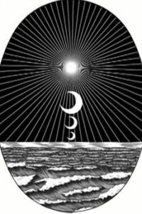 the harmonic gleam vibration okladka