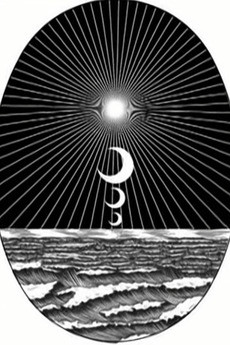 the harmonic gleam vibration okladka