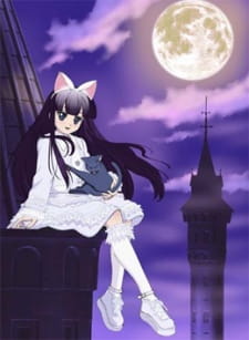 Okładka anime Tsukuyomi: Moon Phase Special
