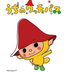 uchi no oochopus