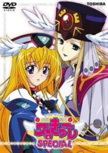 UFO Princess Valkyrie Special: Bridal Training — okładka anime