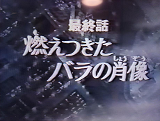 versailles no bara moetsukita bara no shouzou