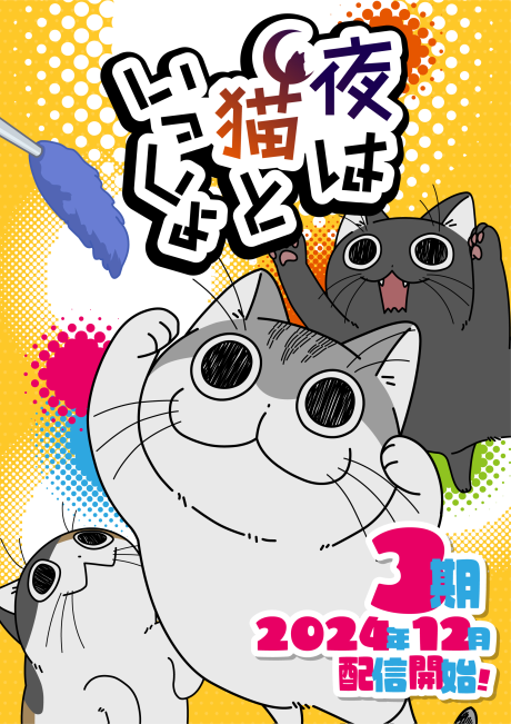 yoru wa neko to issho season 3 okladka