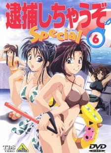 Okładka anime You're Under Arrest: Diverting Traffic at the Beach